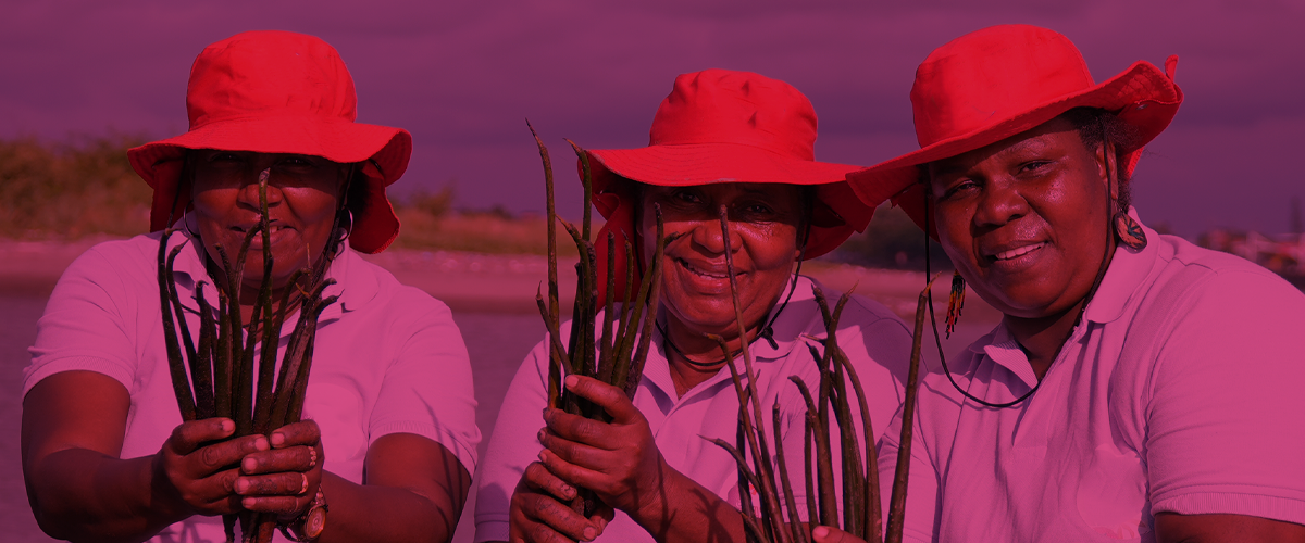 Emprendimiento asociativo